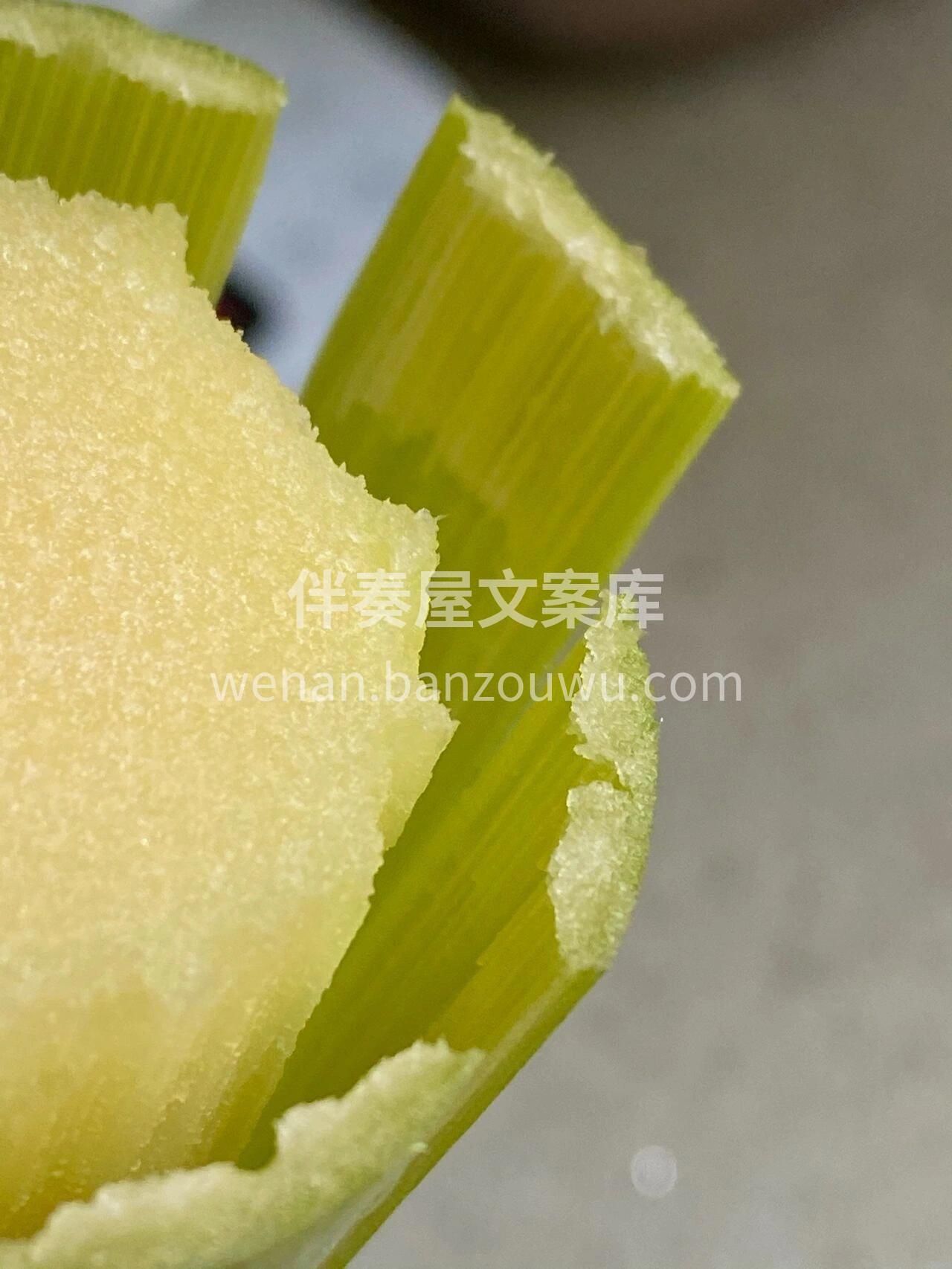 🍬冬日里的甜蜜秘密🍬✨发现一根超甜的甘蔗 配图3