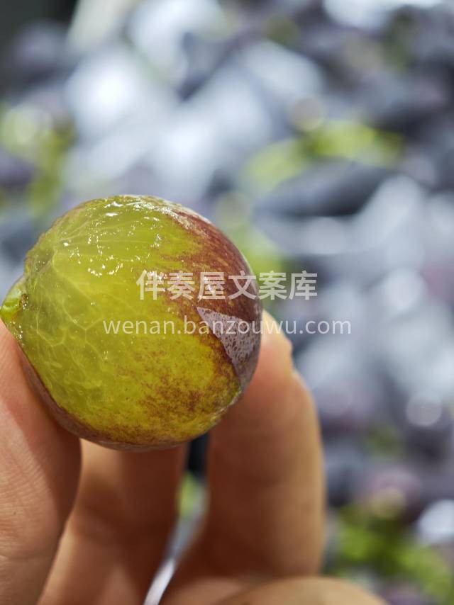 【超级好吃巨峰葡萄🍇】♥️甜蜜推荐👉 🍇 配图1