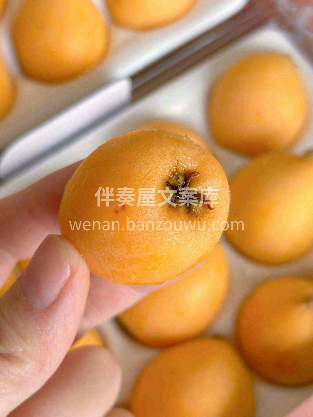 “润肺缓咳”的营养果🎖 吃上一颗枇杷😋， 配图3
