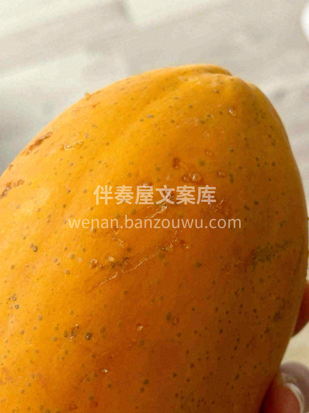 🌟好吃的树熟木瓜重磅推荐！ 🍃清新果木香 配图3