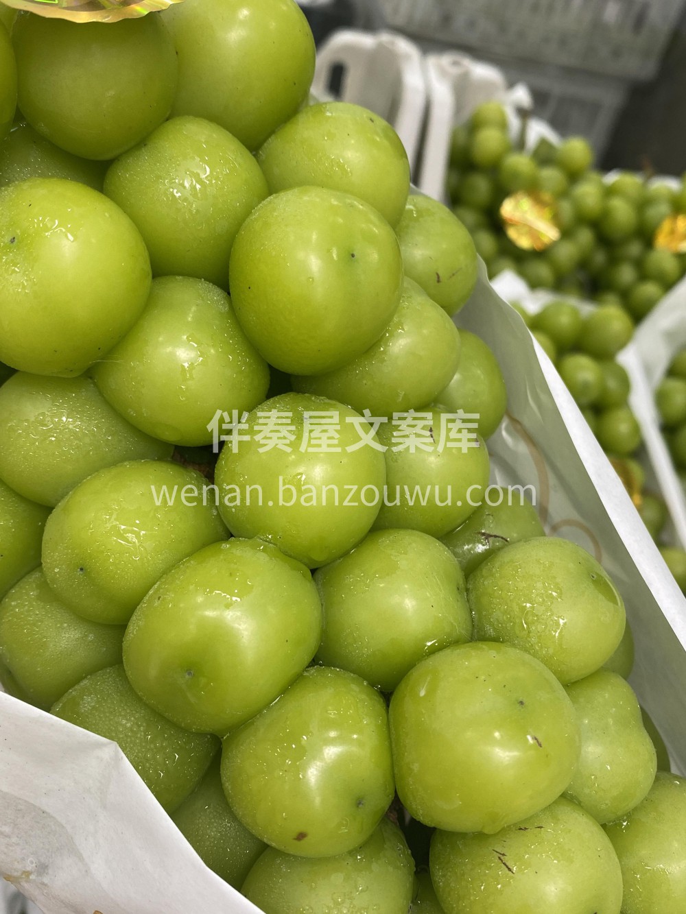葡萄界白富美🫅🫅阳光玫瑰💚💚葡萄界的白富 配图3