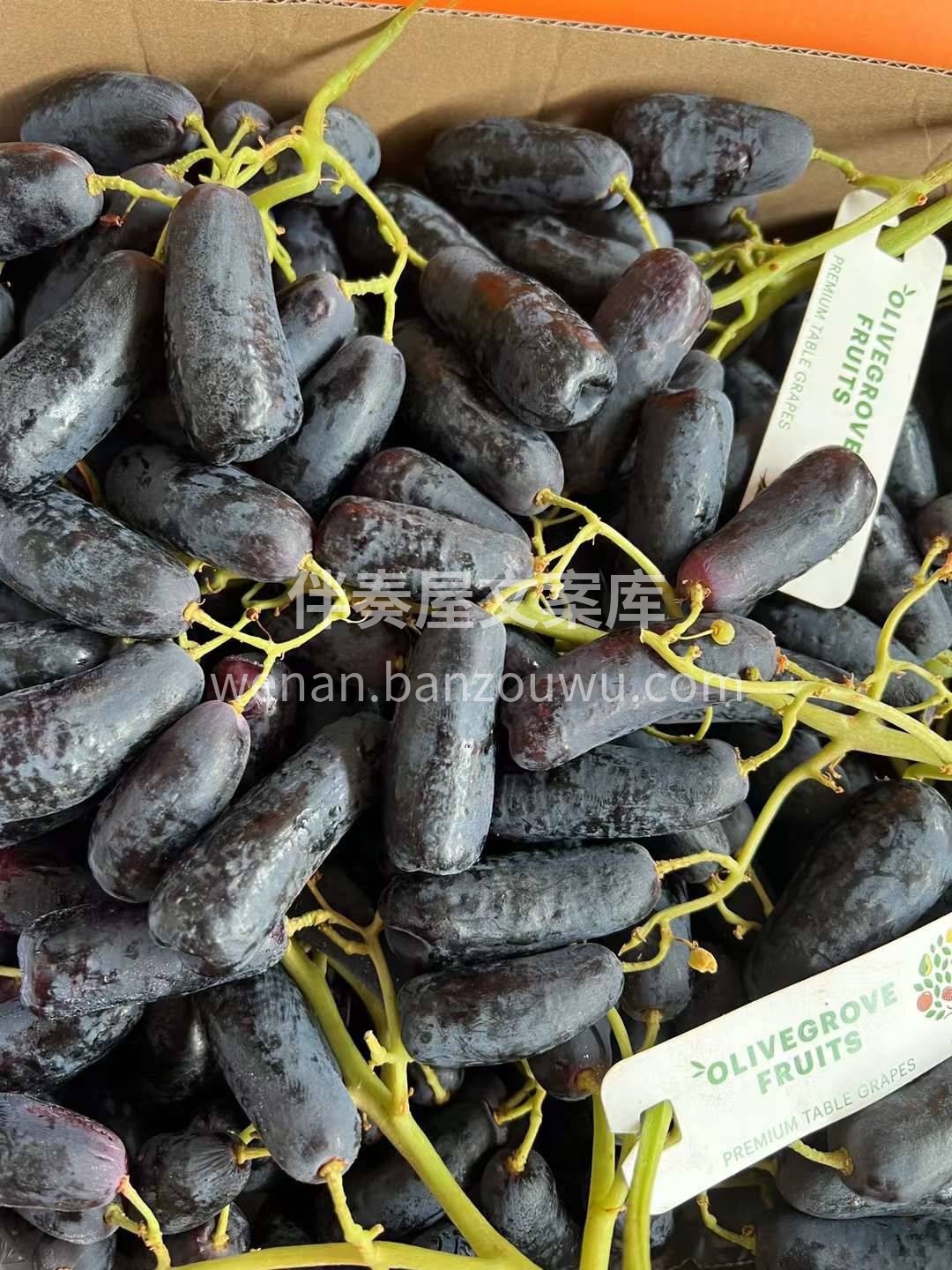 🔅阳光充足，☔降水充沛，得天独厚的气候环 配图3