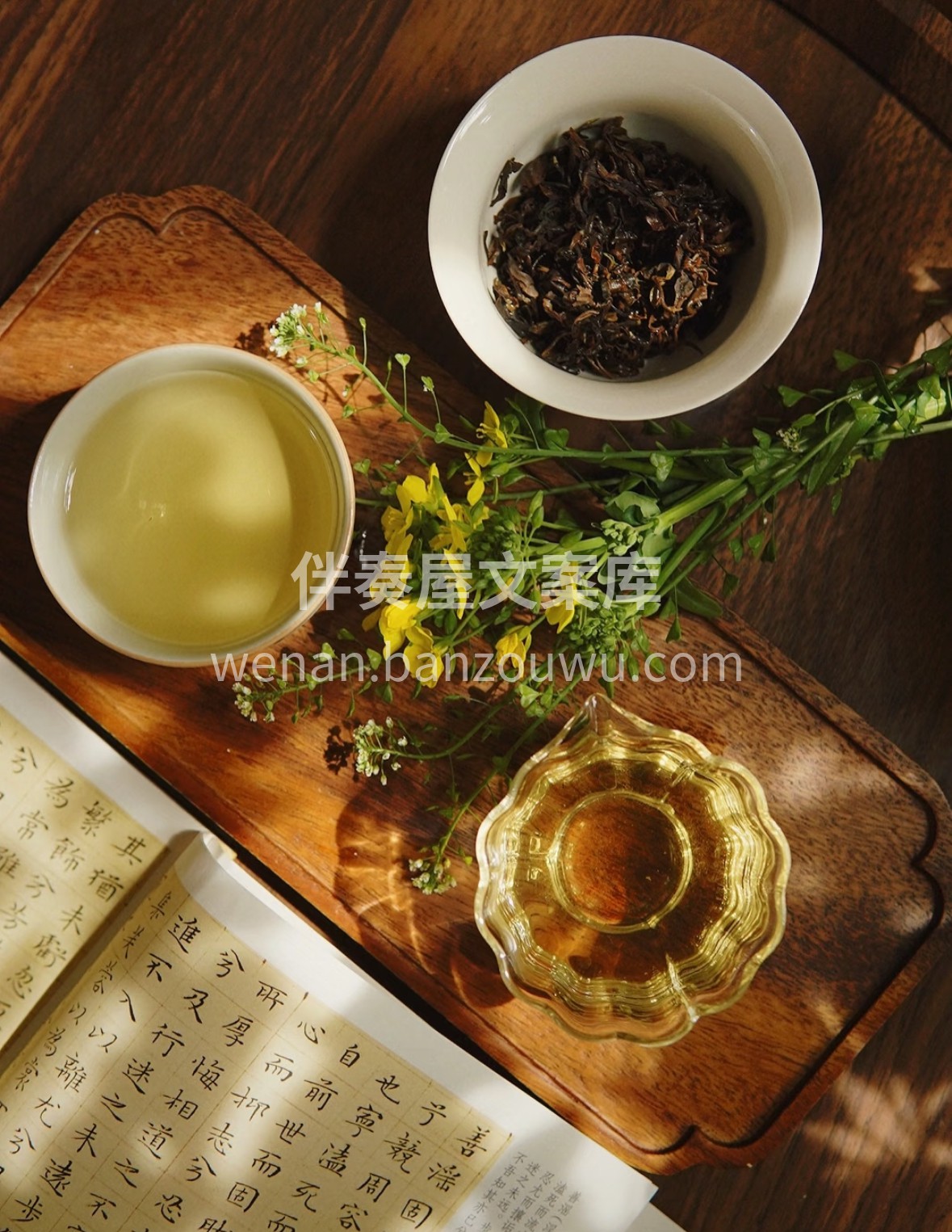 从阿里山茶园到茶席，台湾乌龙带着山风的鲜 配图1