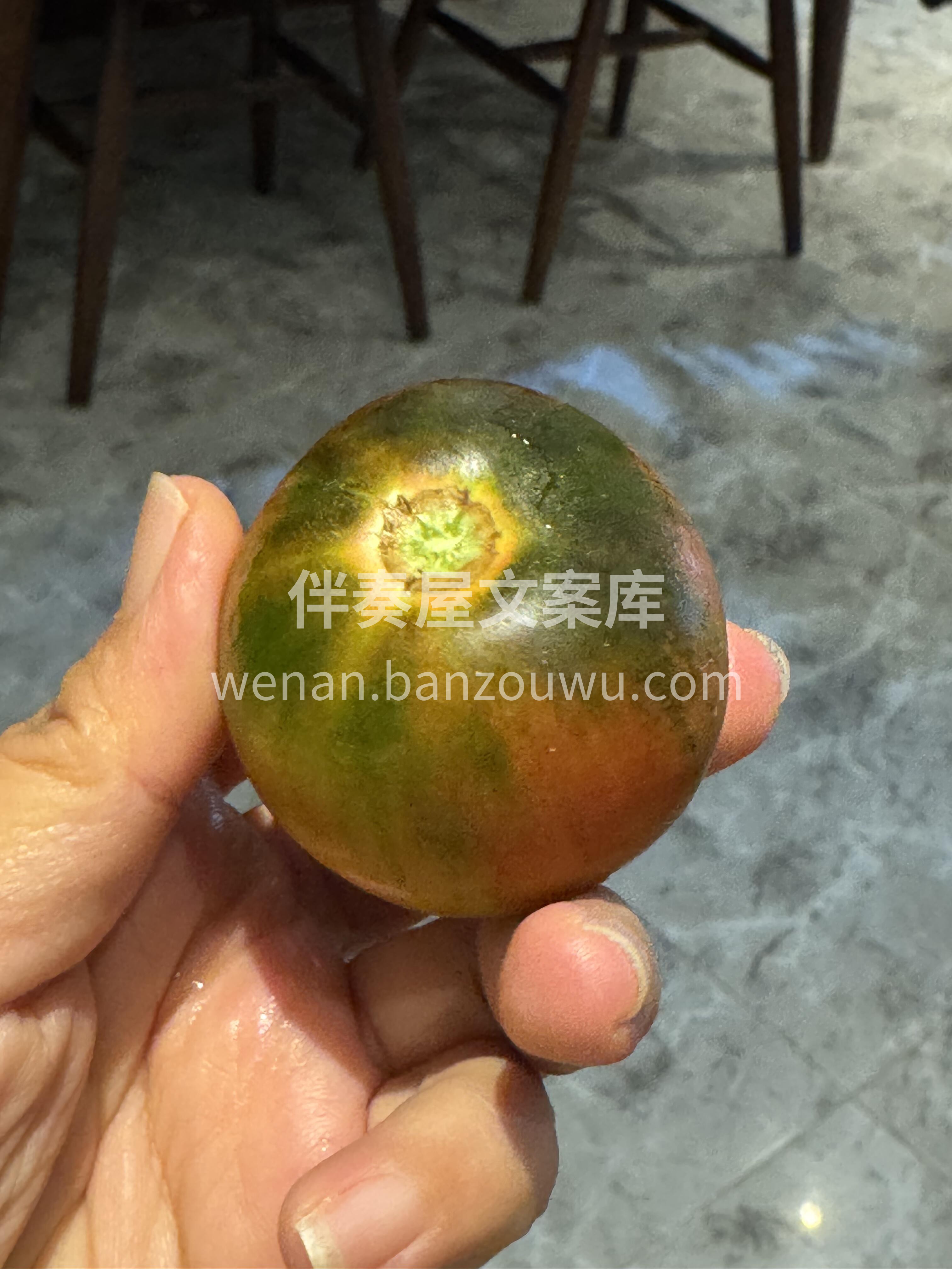 🍅草莓柿子！🌈 番茄界的颜值担当✨ 草莓 配图3