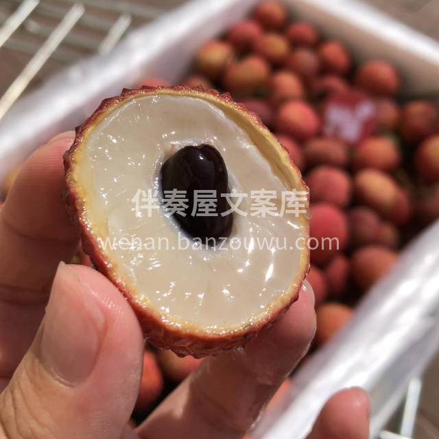 强烈推荐这款鸡嘴荔枝👇👇 可以称它是荔枝 配图1