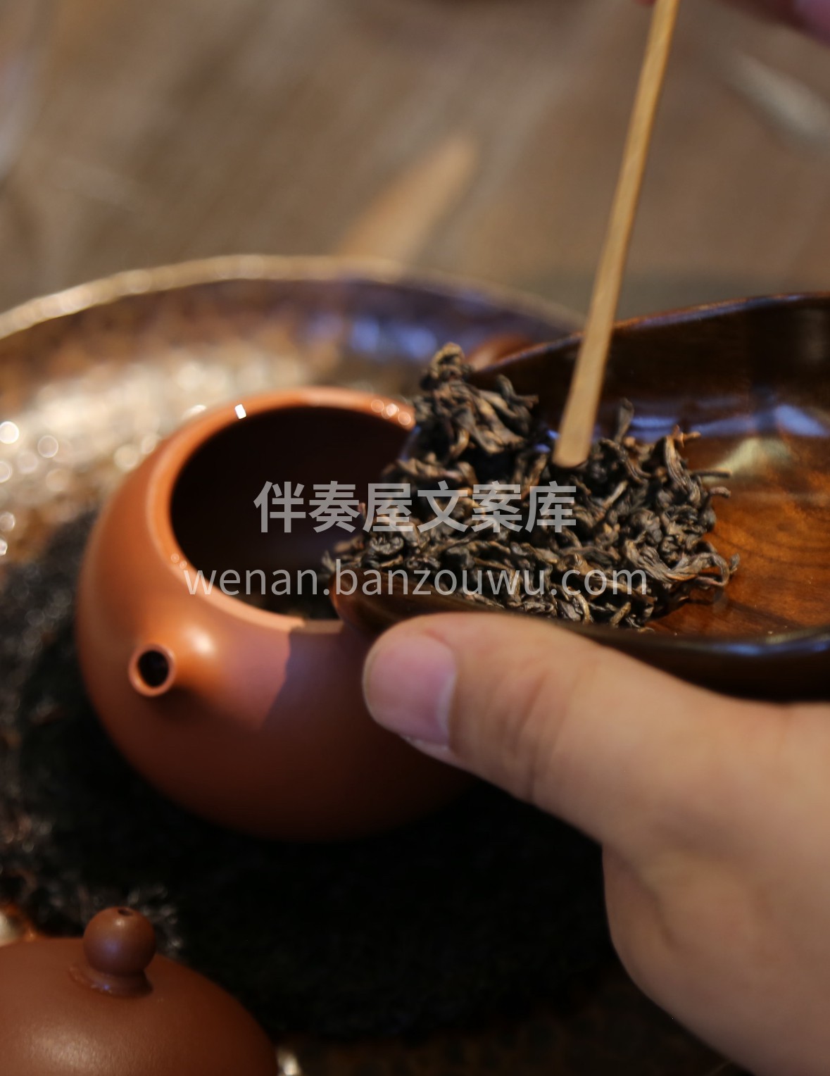 🌿 时光淬炼陈年乌龙，条索紧结显陈韵，沸 配图2