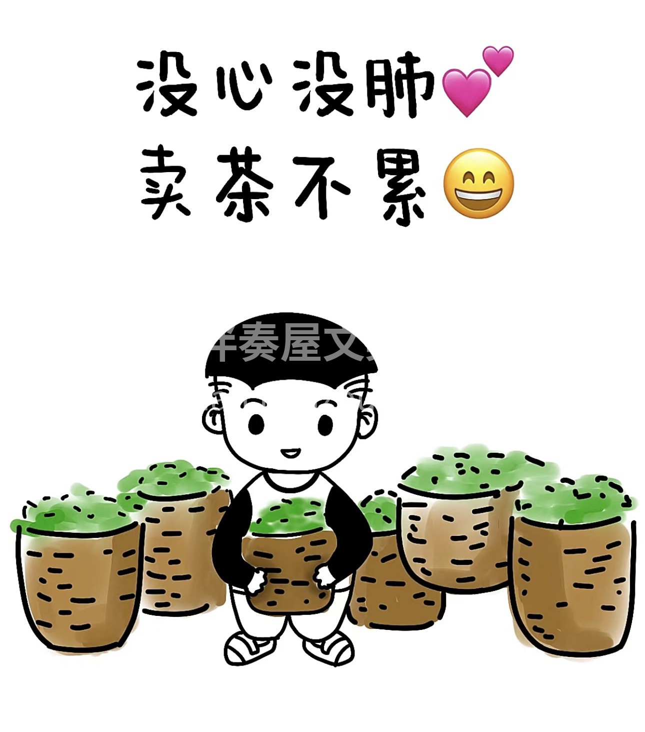 茶香袅袅，岁月悠悠。我们的茶叶，采自高山 配图2
