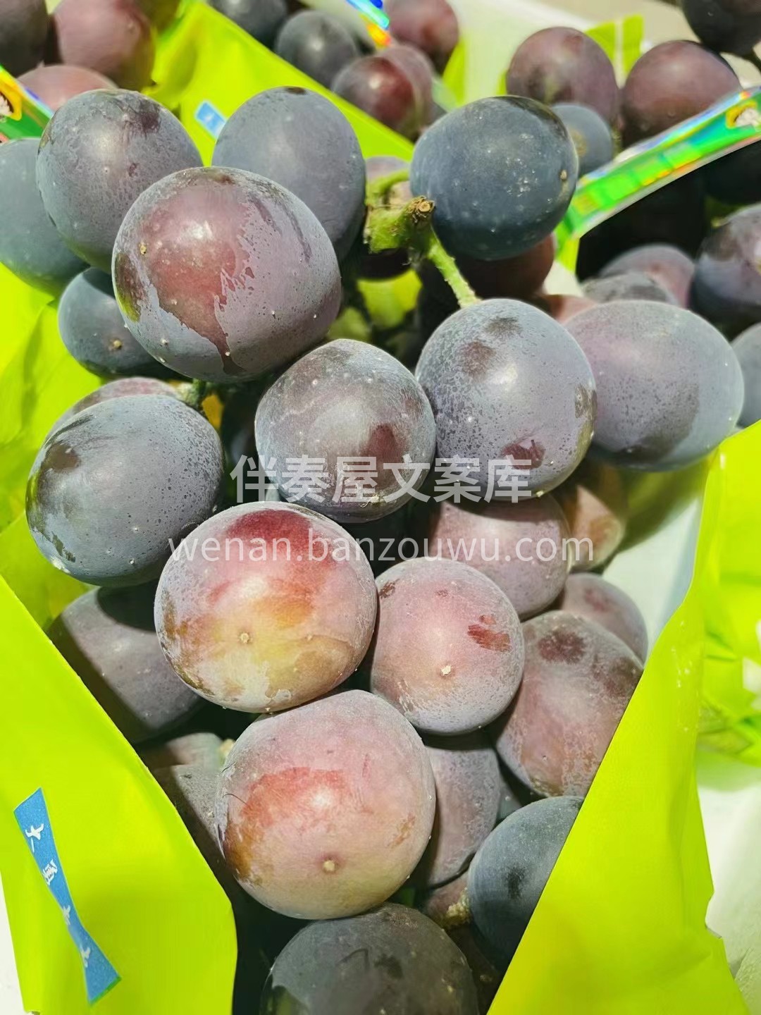 辽峰葡萄鲜甜美味😍 果香四溢，滴汁成蜜  配图2