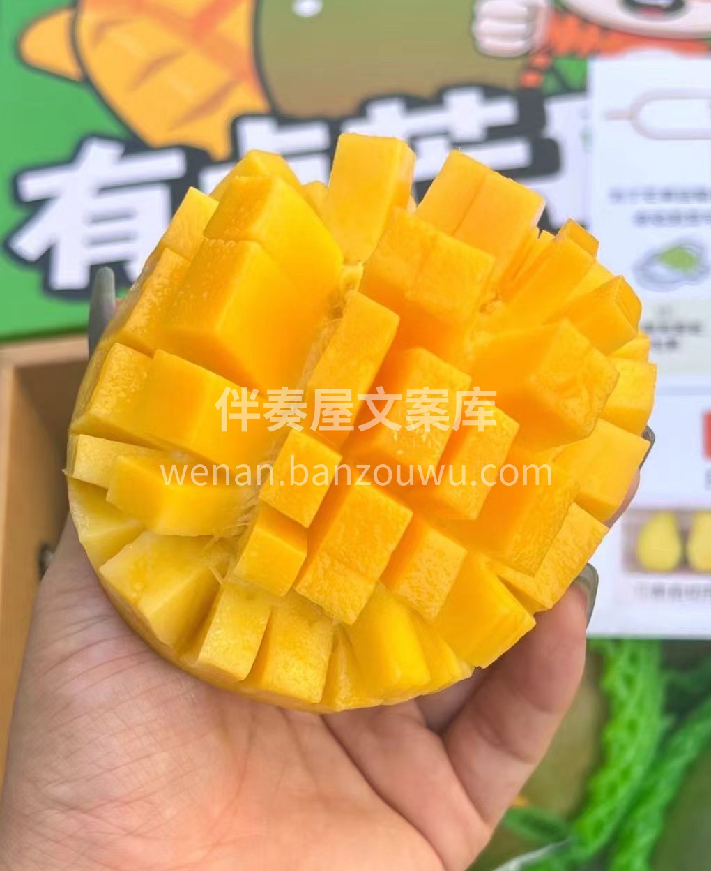 其他芒果：精致切片 凯特芒：直接切块论斤 配图2
