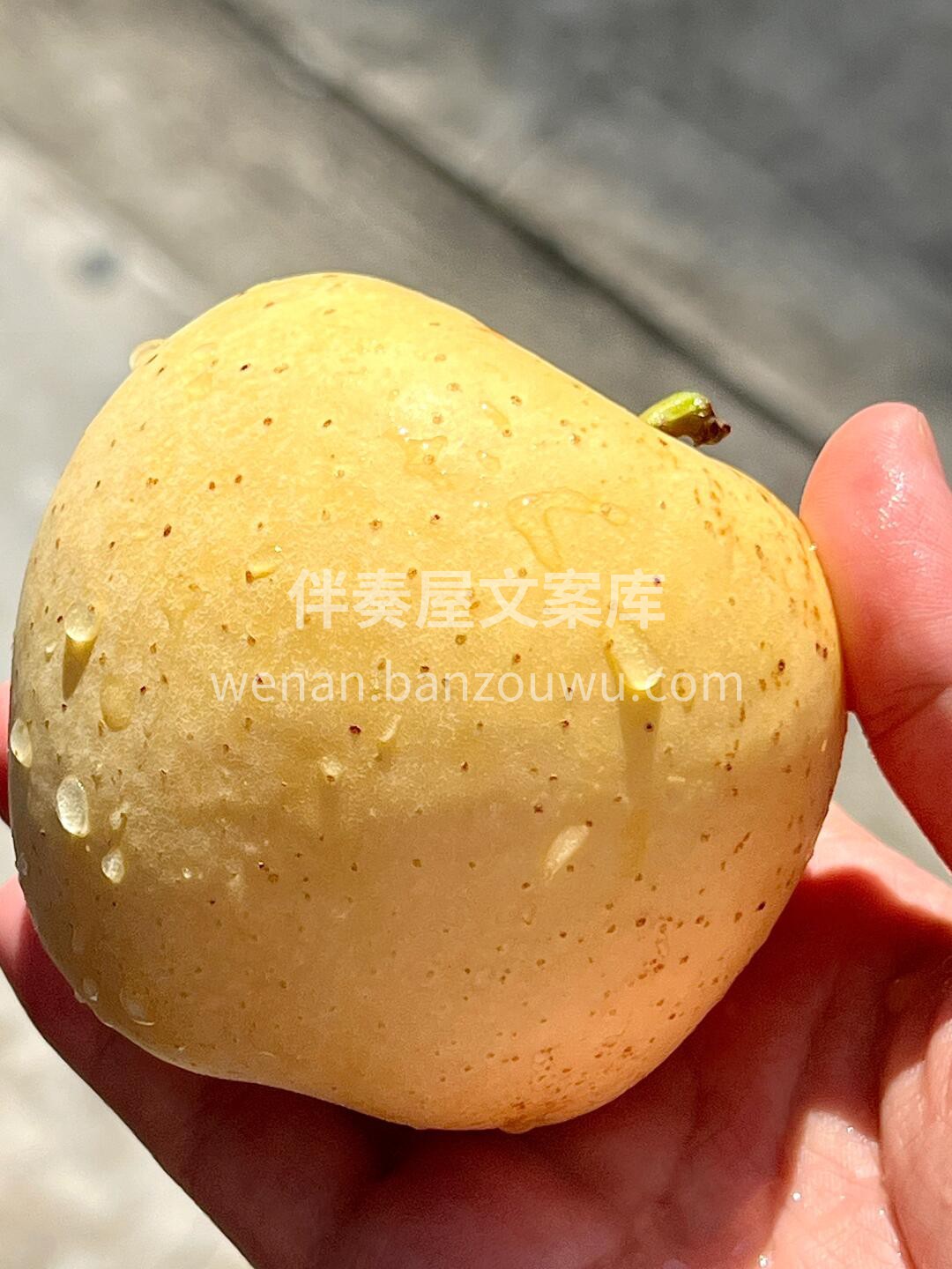 巨香巨甜的维纳斯苹果真的无敌好吃🙆！ 麻 配图3