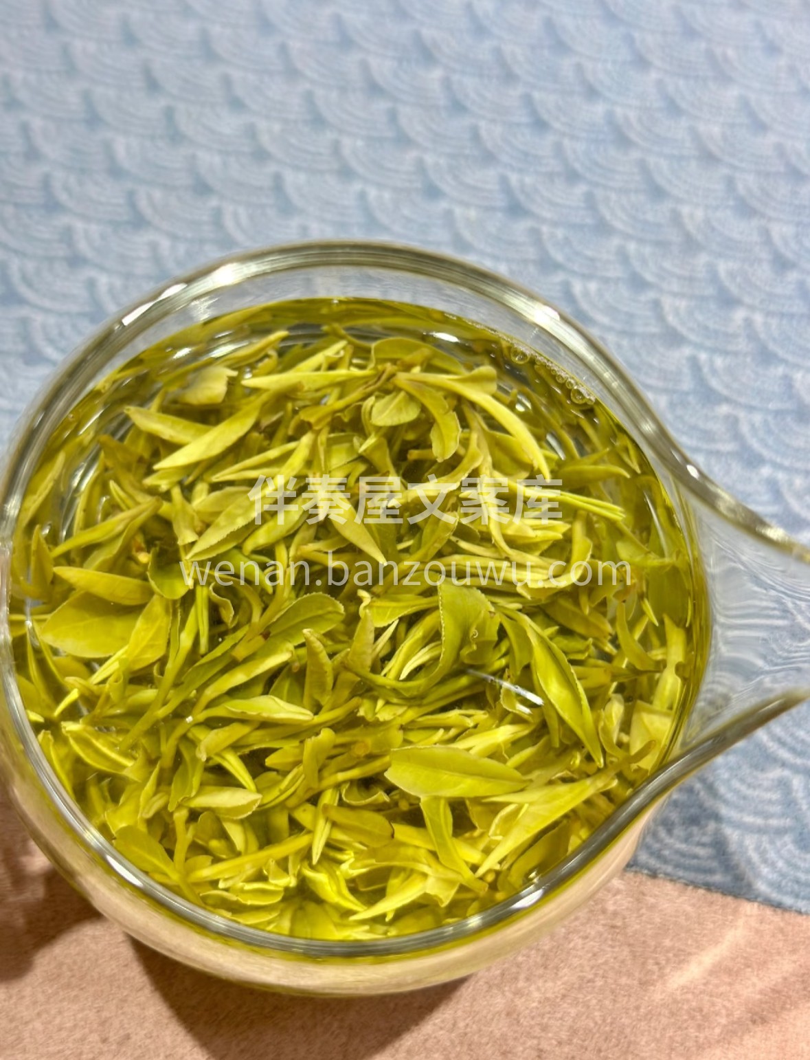 🌿 云雾润鲜叶，山海育甘醇。日照绿茶吸足 配图3