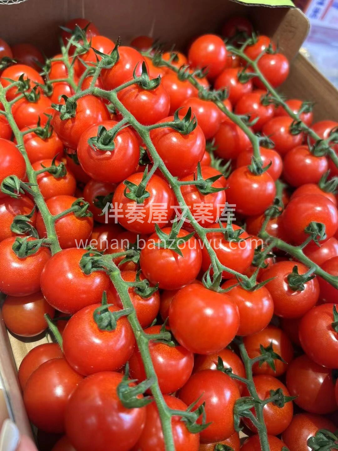 🌸有机串番茄🍅不仅拥有超高颜值美貌😘口感 配图2