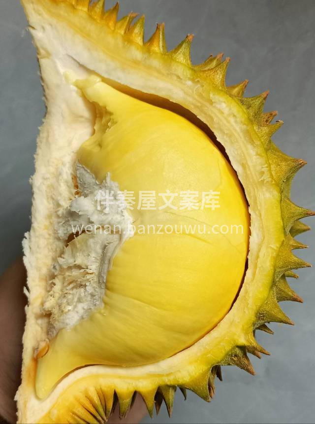 巴掌榴莲真的很赞👍 今天忍不住又吃了一个 配图1