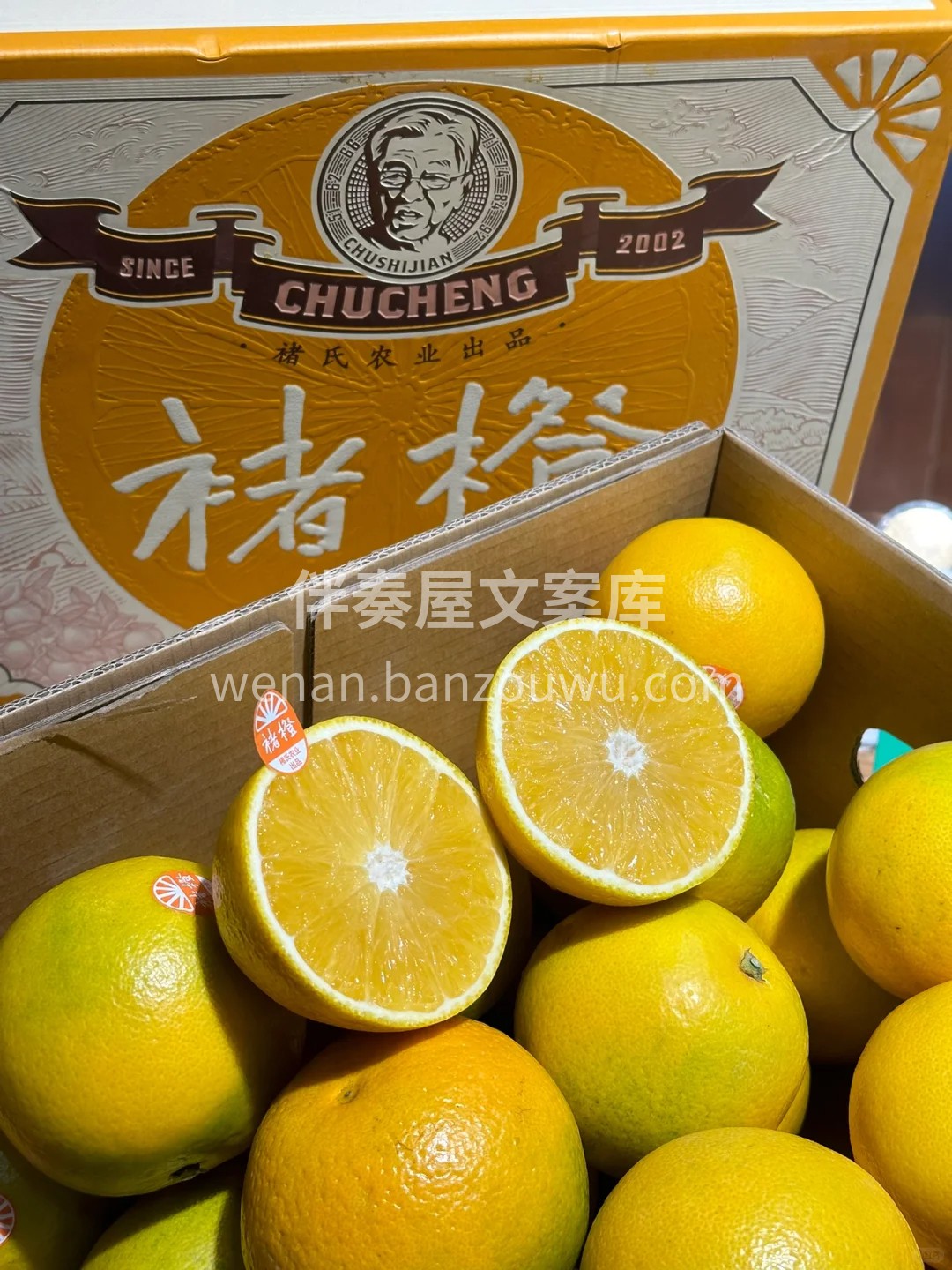 没有套路文案🍉只有新鲜果子🍊 脆甜✨绵密 配图1