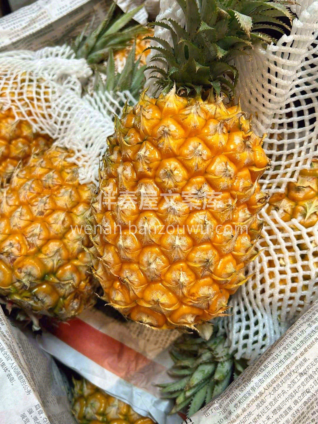 🍍身披龙鳞，头戴凤尾，肉中带金🍍 黄金酸 配图1