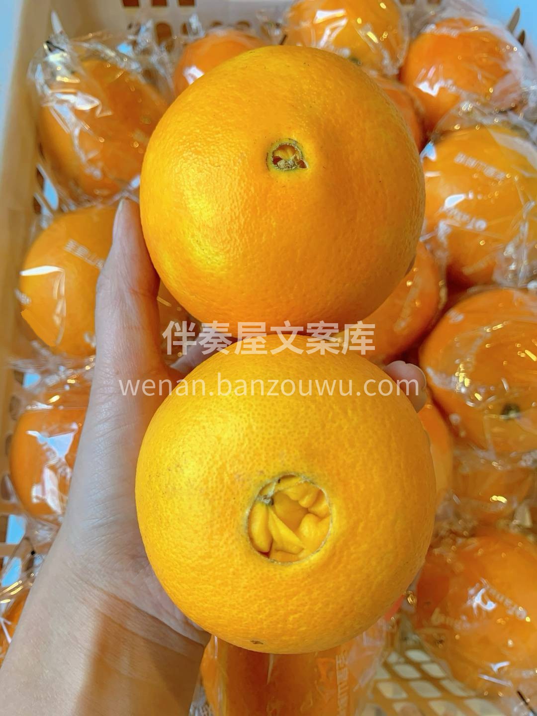 幸福大概就是💗，寒冬已至但是你依然温暖如 配图3