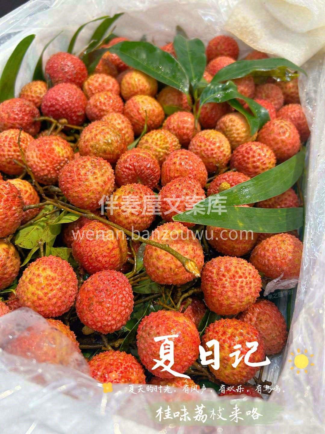 生活有点苦，荔枝却很甜🌸，快乐就是这么简 配图1
