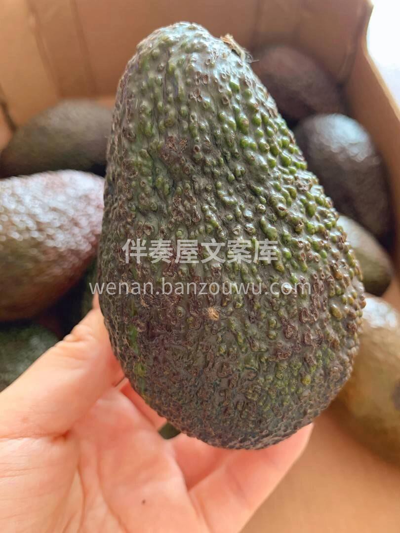 牛油果🥑欲罢不能的爱😘每日一颗牛油果🥑你 配图2