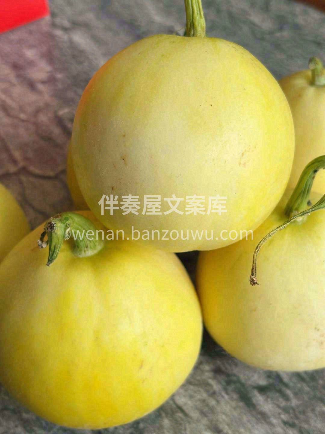 秋天心情烦躁，来个白糖罐小甜瓜吧😍 香甜 配图3
