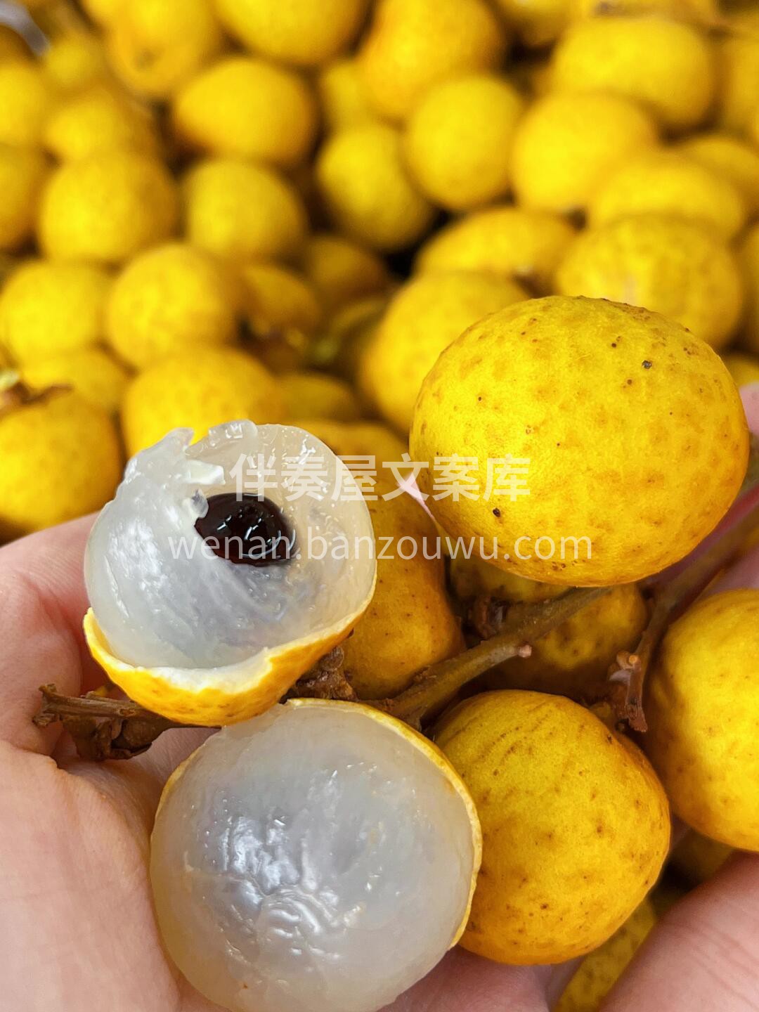 泰国金果源龙眼🔥 既满足了你的胃，又充实 配图1