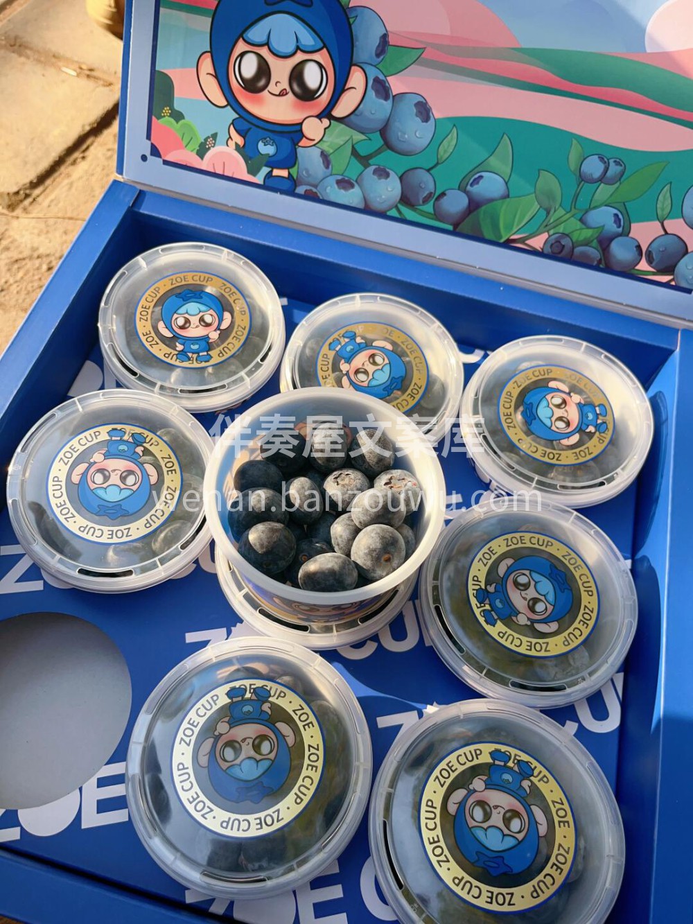 高端客定蓝莓🫐好食鲜果～源于自然😘颗颗甄 配图1