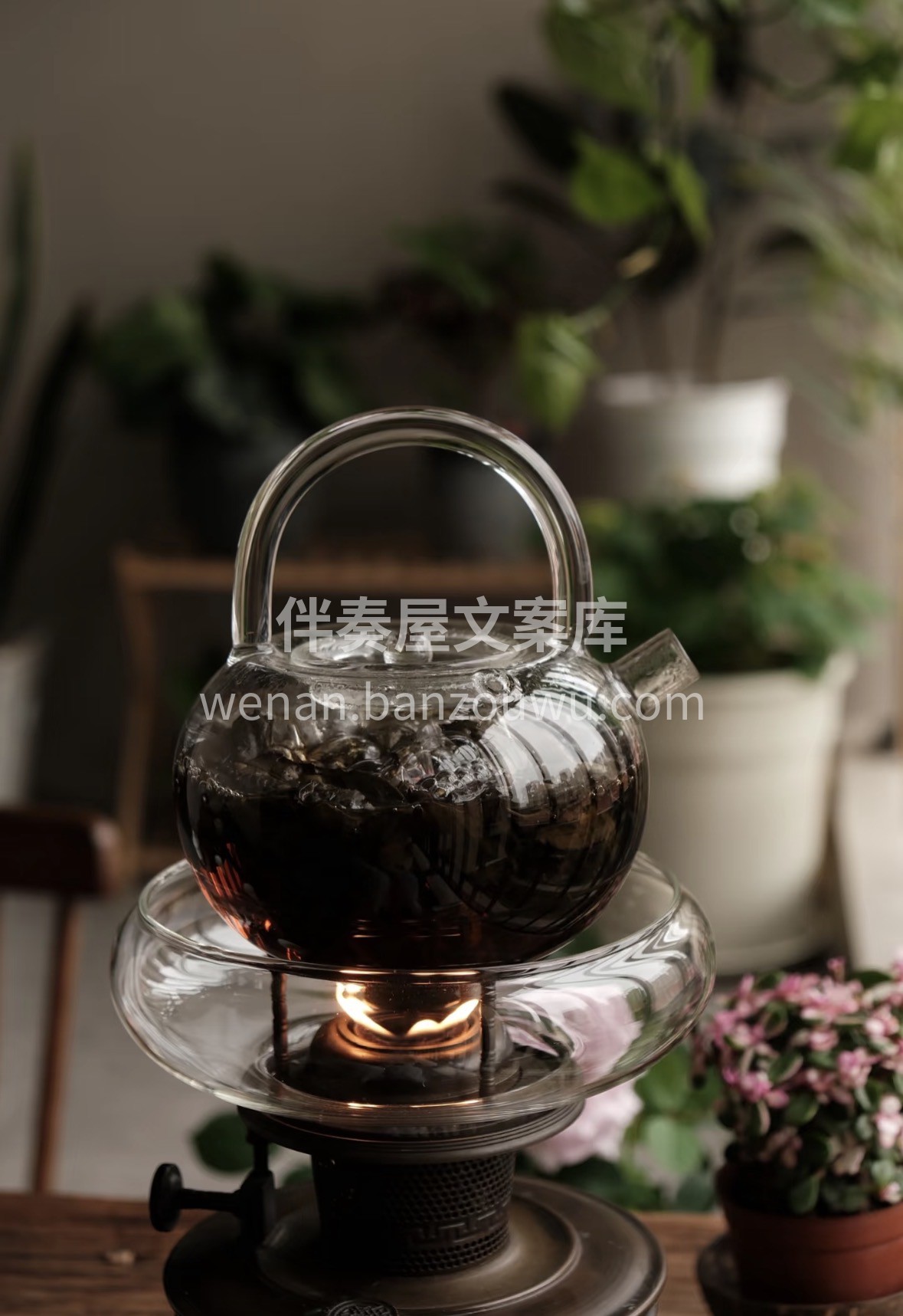 新年囤茶正当时｜贵州海马宫贡茶，云雾高山 配图1
