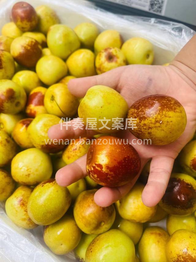 大荔冬枣，让你吃一口就上瘾，每一颗都“甘 配图1