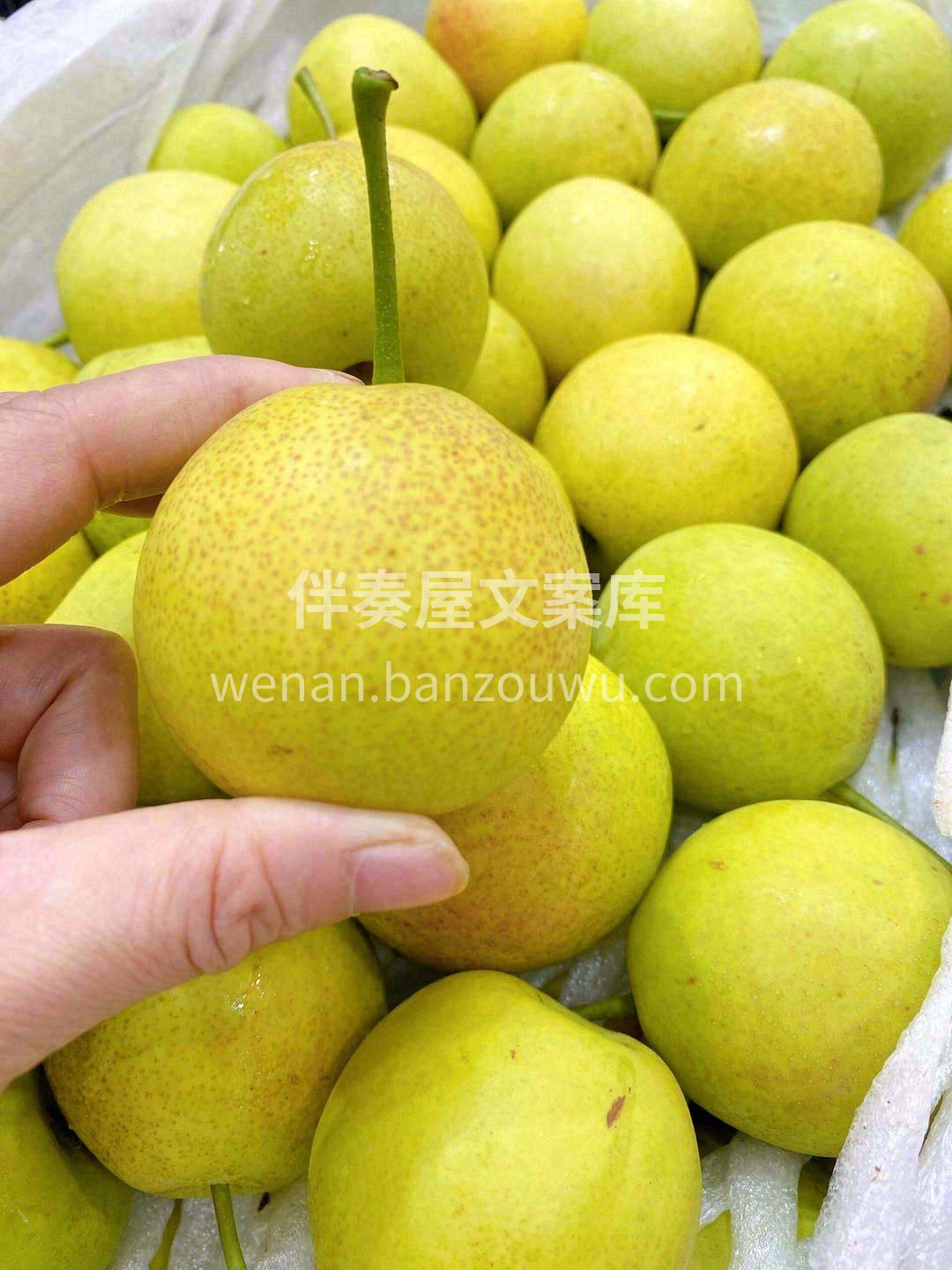 😋满足挑剔的味蕾 ✅细腻的✅冰凉的✅新鲜 配图1