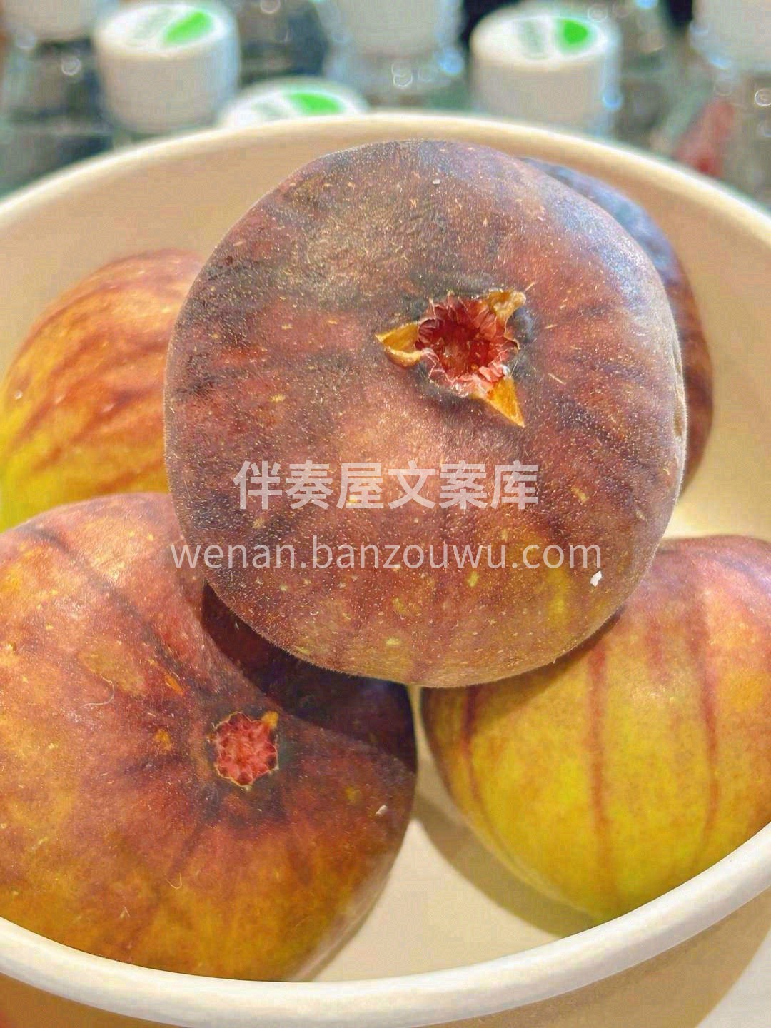 挂在🌳树上的“糖包子” 咬一口满嘴流蜜🥰 配图2