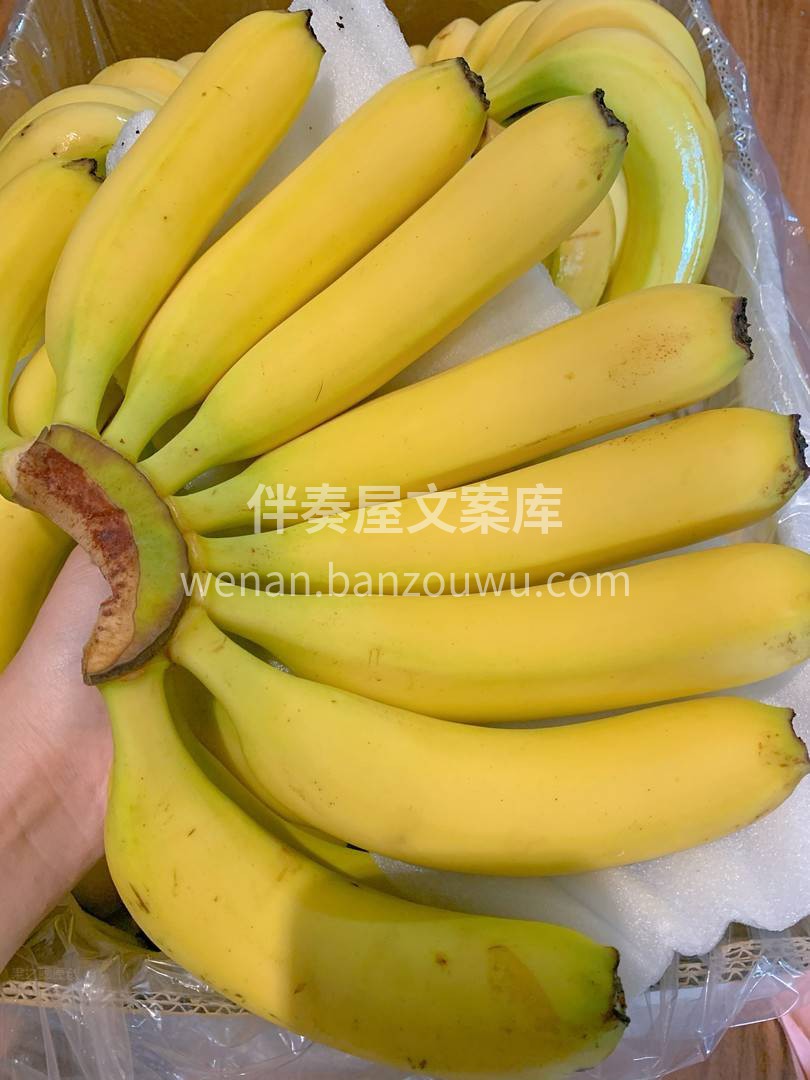 👄口感特别特别软糯香甜 🙅不泡药！无污染 配图2