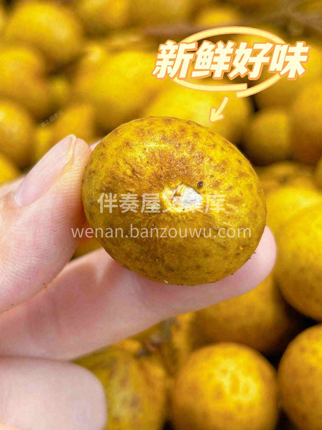 纯正的甜蜜！新鲜的享受🌼 汁水鲜甜不腻， 配图1