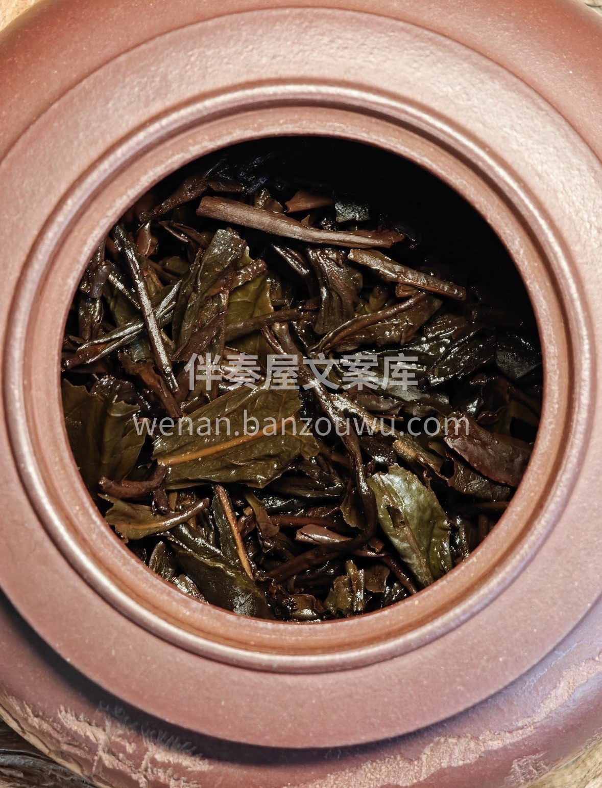 ✅今日好茶分享｜芙蓉龙珠 ▫️高山原料  配图2
