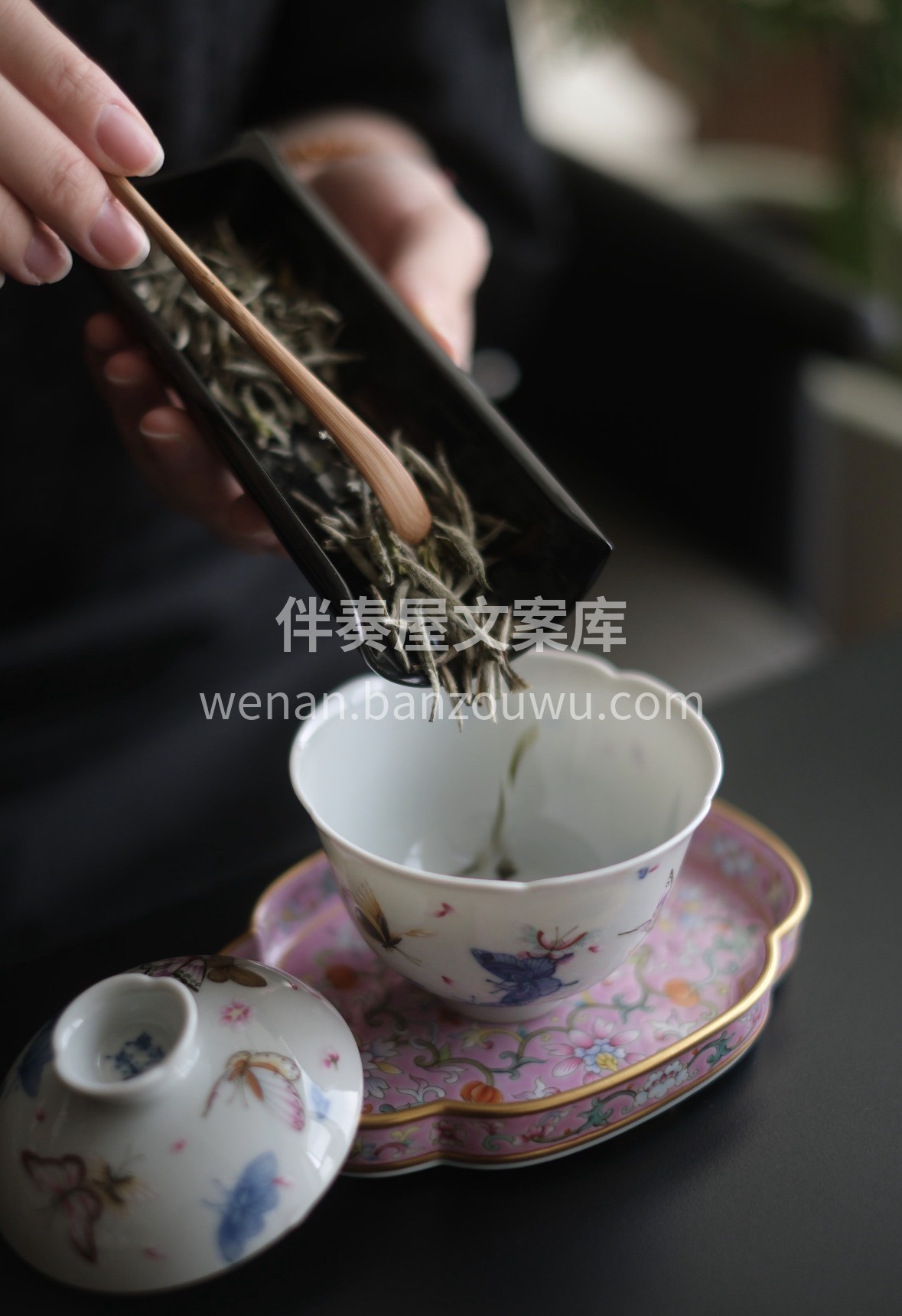 一杯白毫银针=天然养生茶🍃 ✅ 高氨基酸 配图1