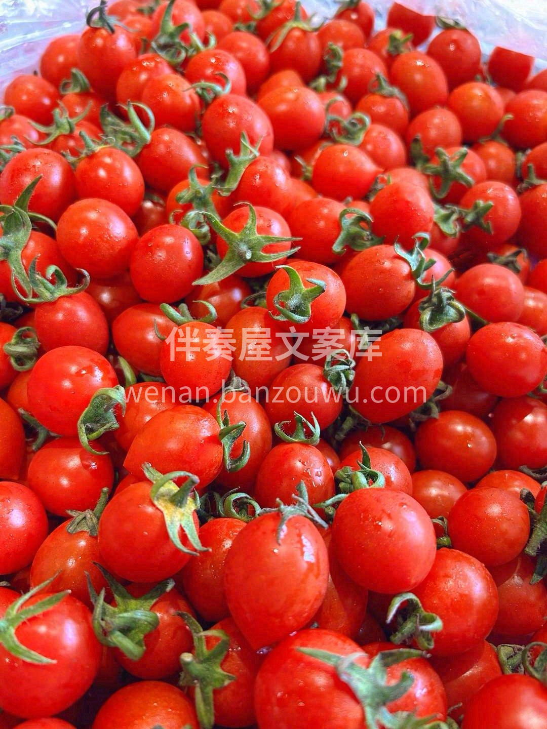 好吃的小柿子！一咬就爆汁💧💧！ 【海南玲 配图2