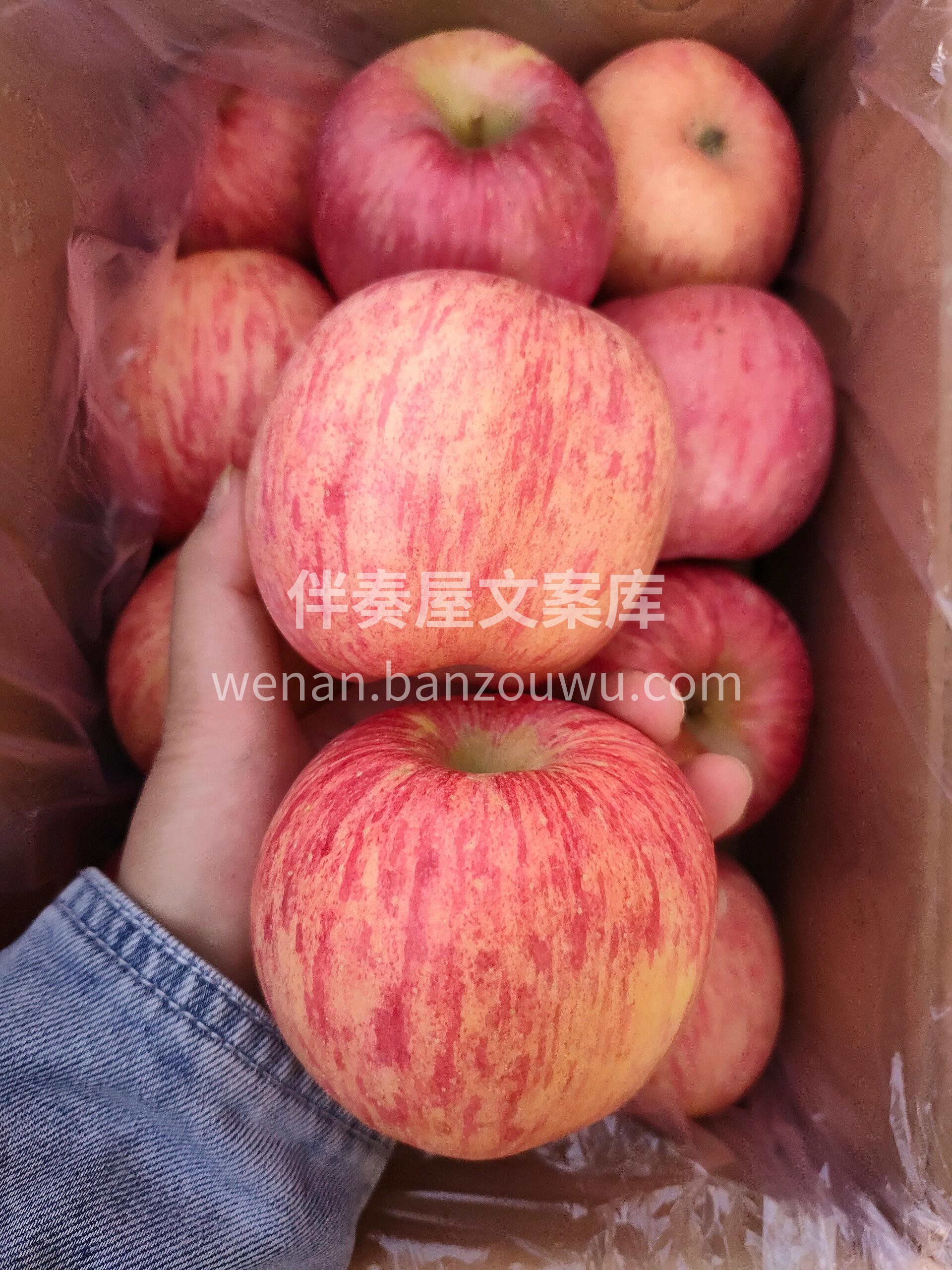 洛川富士苹果🍎 最吸引人的是果香😍😍 捧 配图2