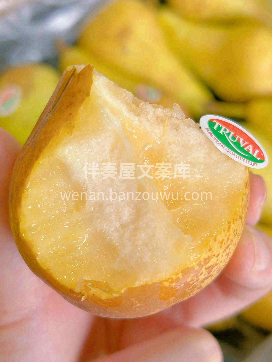 吃软不吃硬的“软萌妹”👸啤梨 皮酥肉软， 配图1