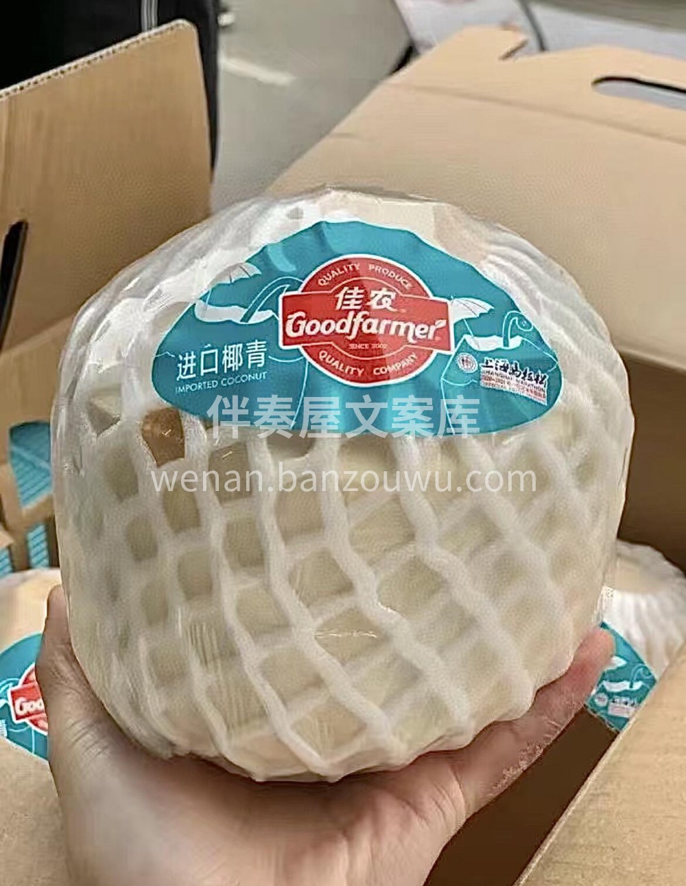 泰国🇹🇭佳农进口香水椰青🥥 天气闷热需要 配图1