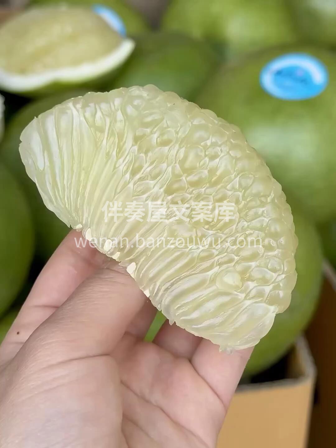 🌿🌿泰国青柚到店🎉 青皮白柚，果肉晶莹脆 配图1