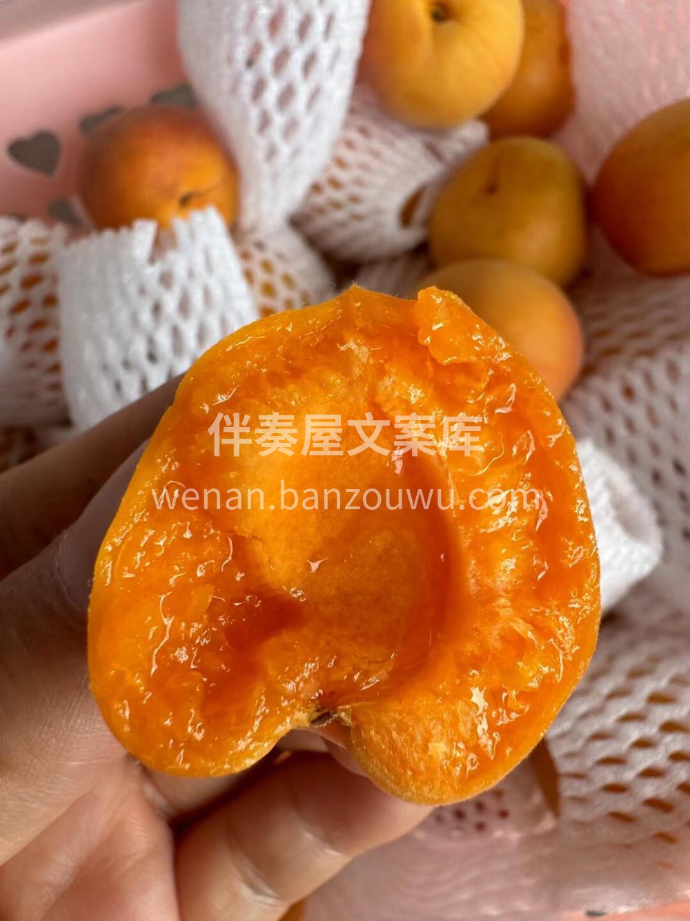 ［新疆吊干杏］🍃丢一颗在嘴里，肉厚味浓四 配图2