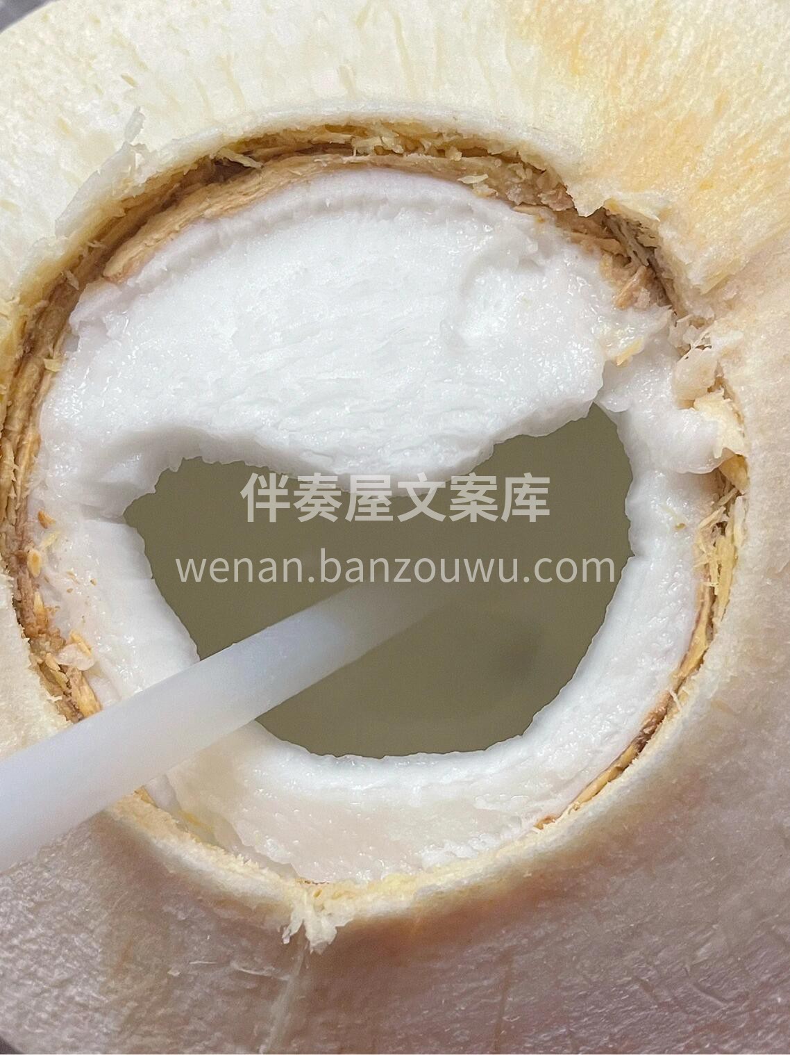 🌴椰青🥥 一整个夏天都在炫它，跟我一起吨 配图1