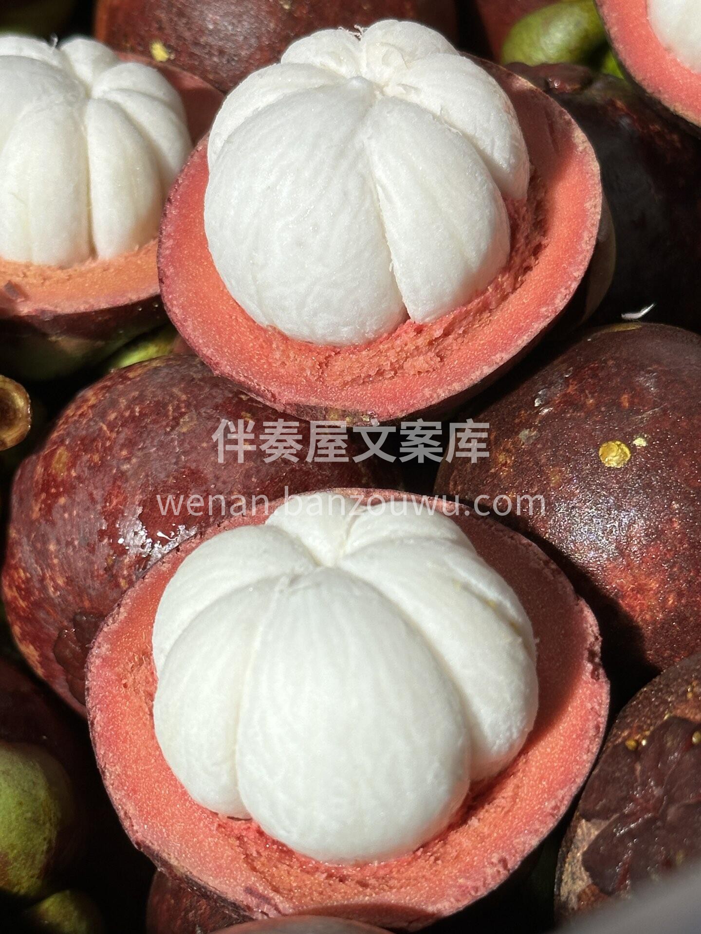 🔆这么暖暖的天气，最适合约山竹啦 高颜值 配图1