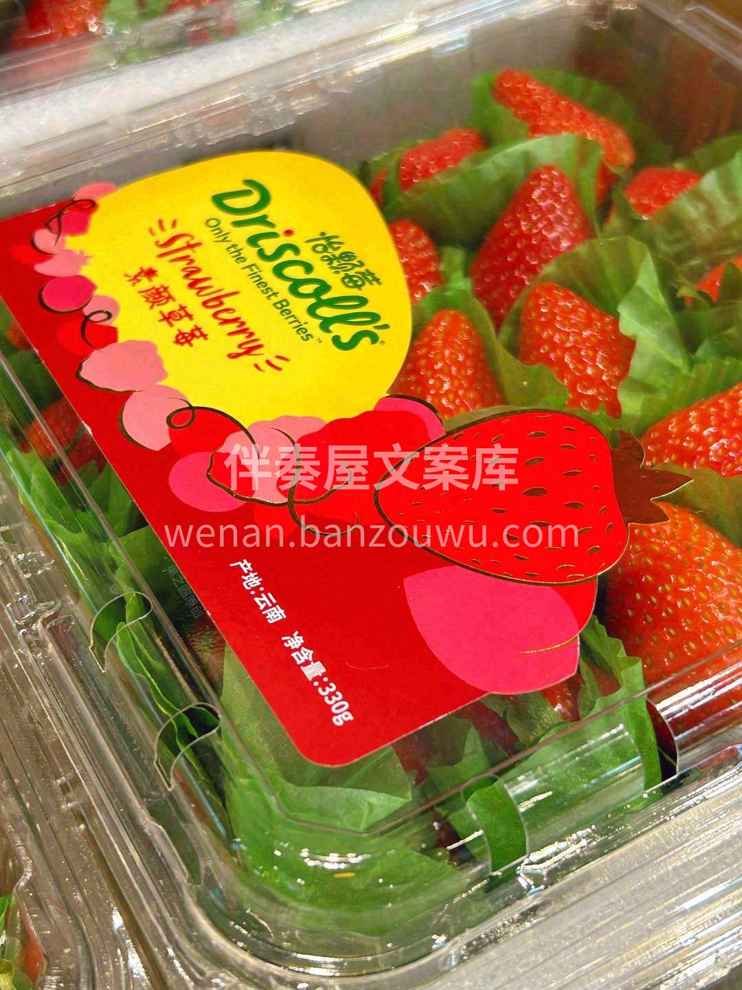 ❄️时光沉淀里，✨甜蜜酝酿中 一年中最值 配图2