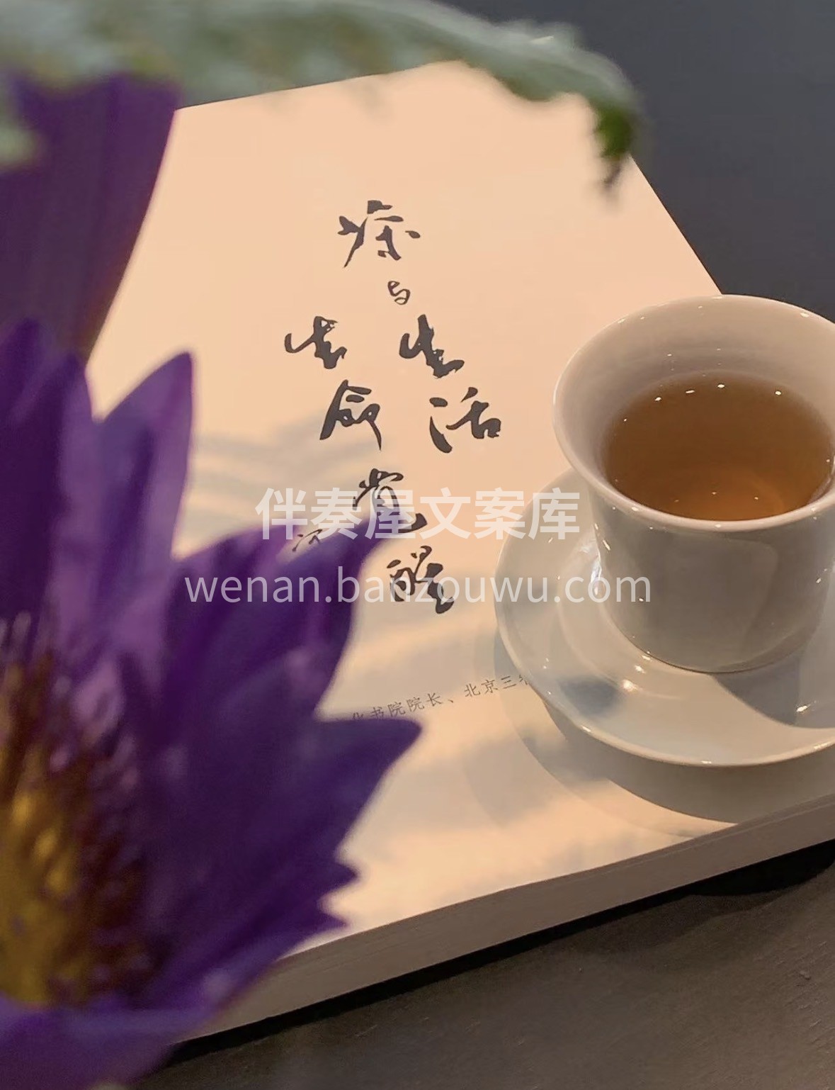 🎁知茶韵，懂茶香，一杯好茶藏岁月，礼赠知 配图1