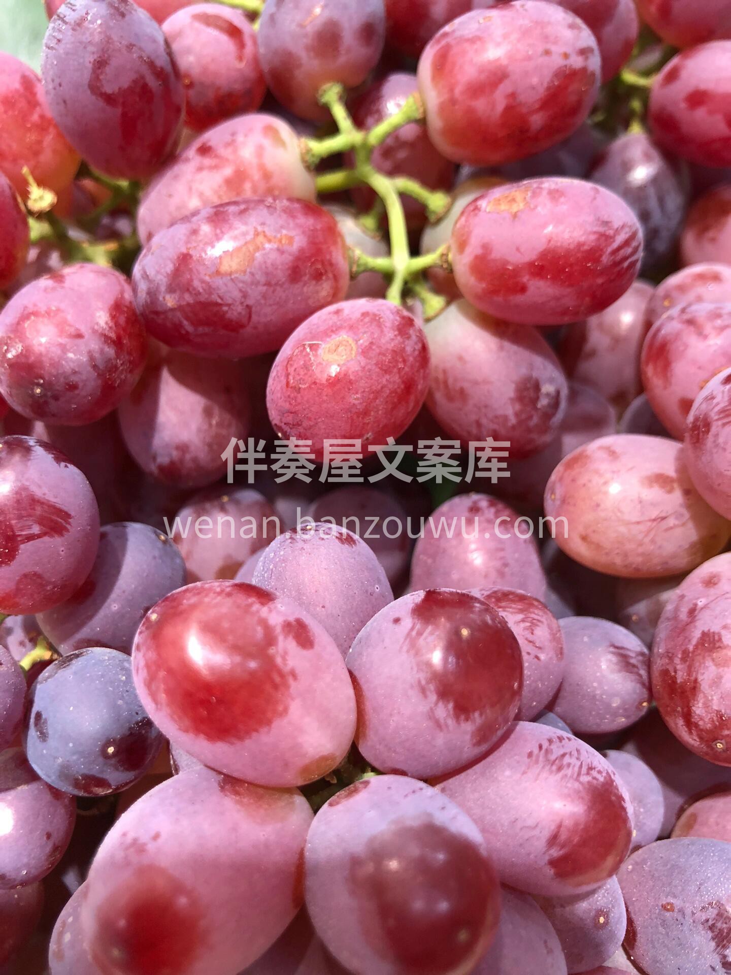 🍇澳洲🇦🇺无籽提😋 ☀️澳洲充沛的阳光打 配图3