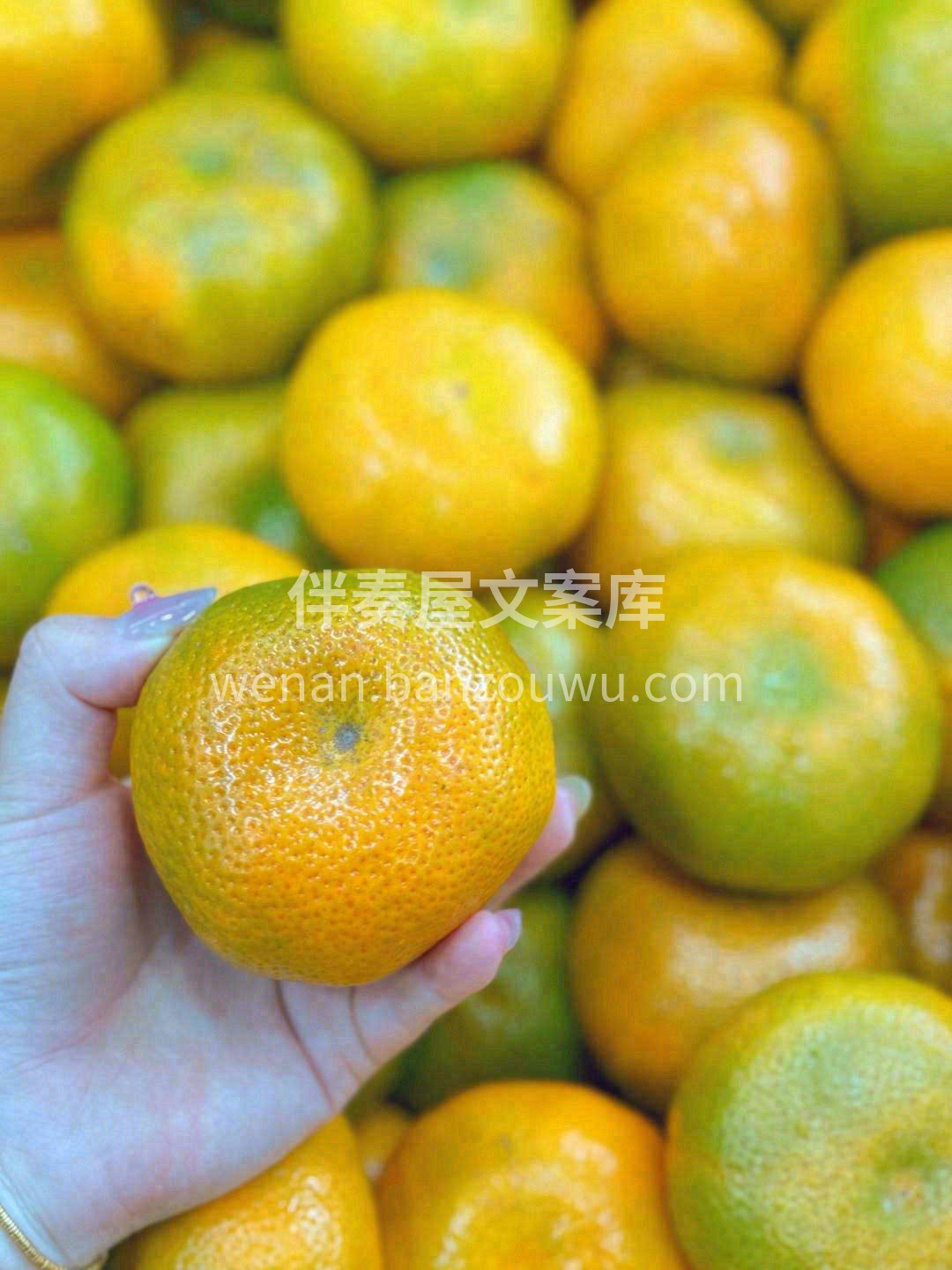 🙊第一口橘香，来自云南的早熟蜜橘🍊 酸酸 配图2