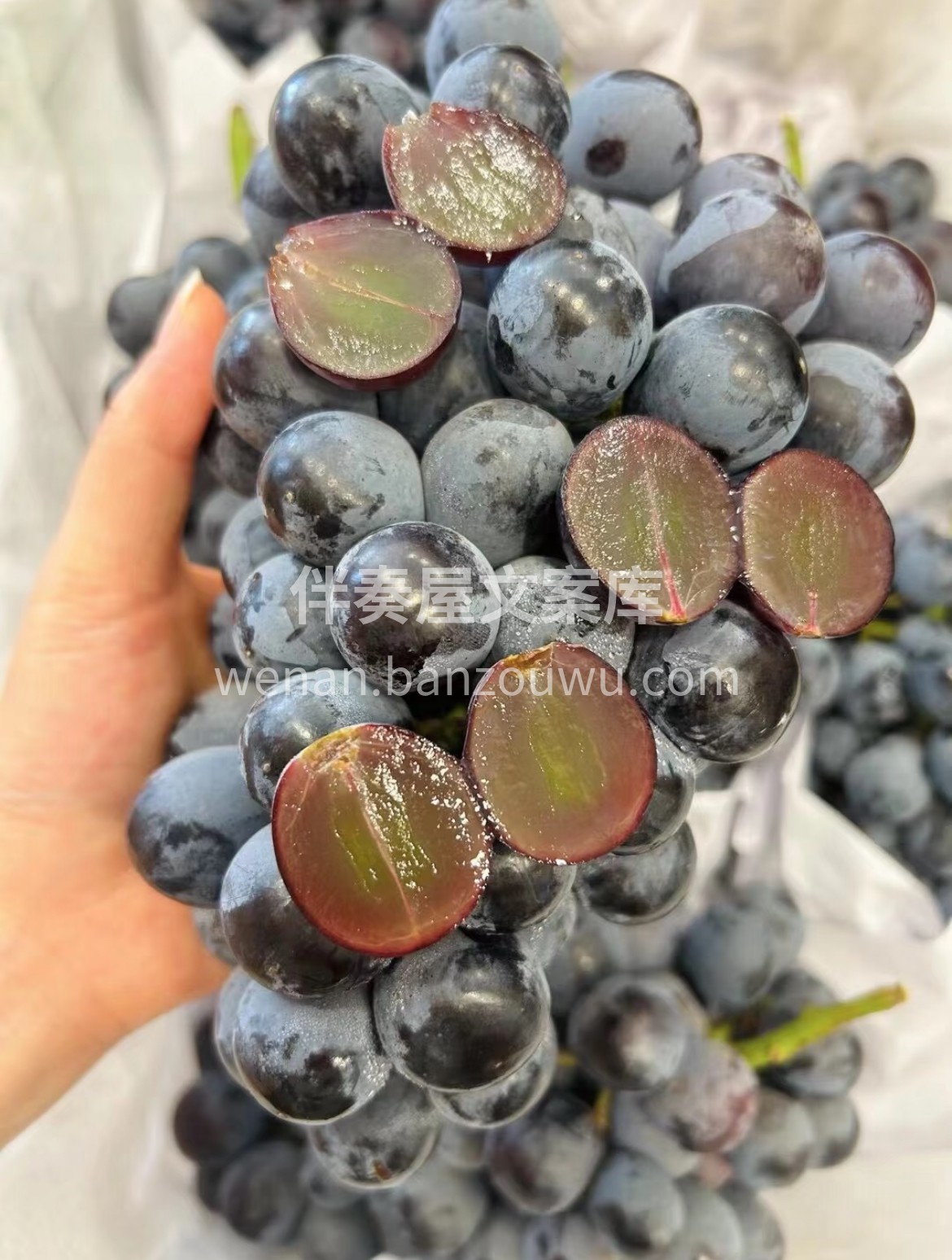 ❤️当季夏黑葡萄🍇 全年光照满格☀️，果 配图3
