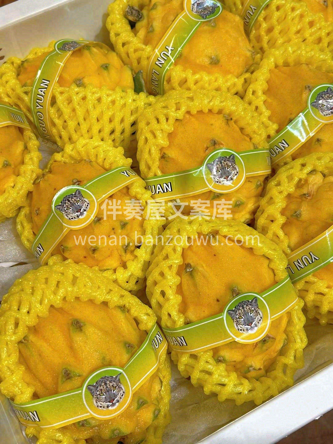 旧时王谢堂前燕，飞入寻常百姓家 原本奢侈 配图3