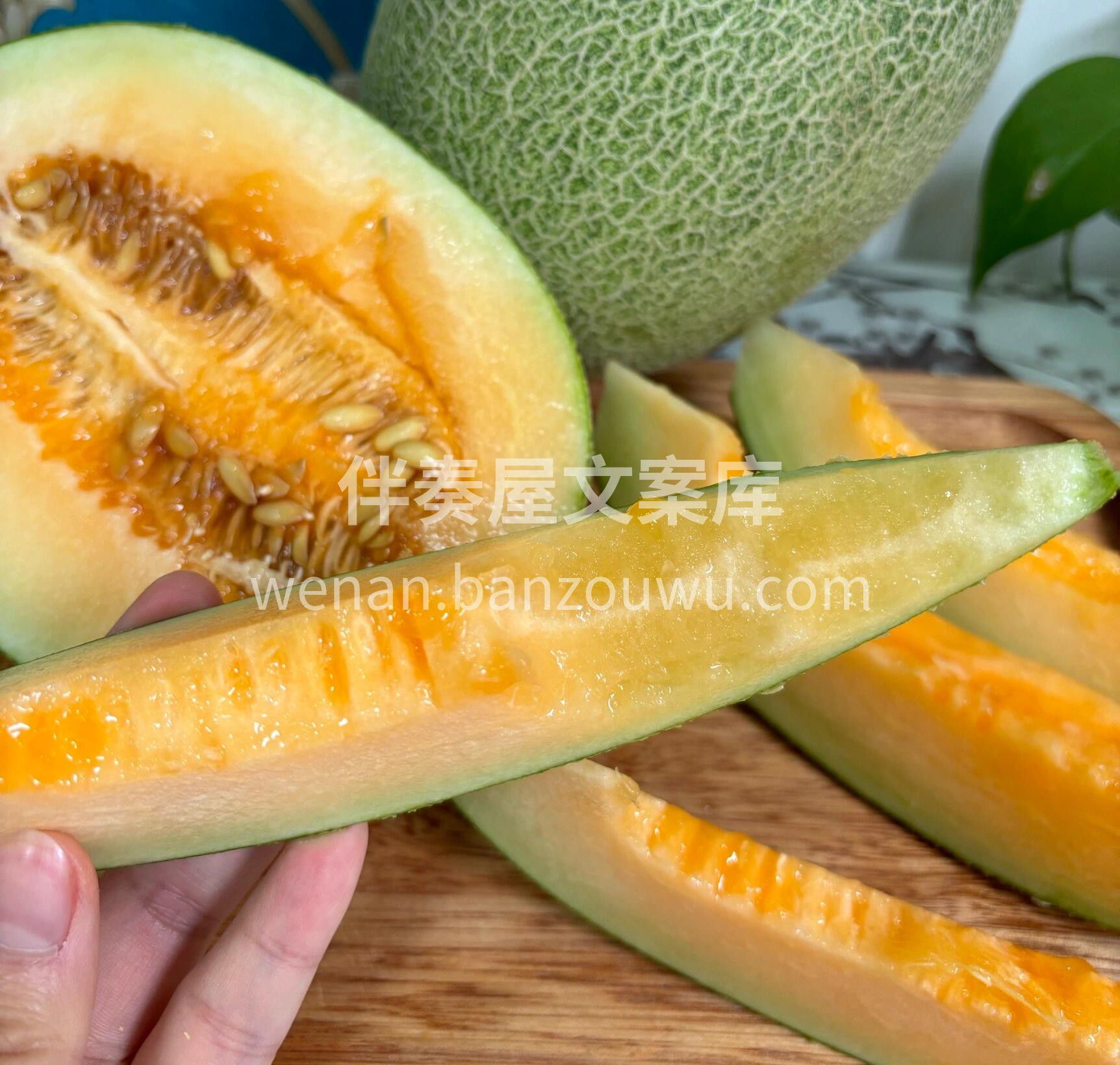 🔆 夏天的美好，因为风吹动了心❤️ 🍭生 配图3