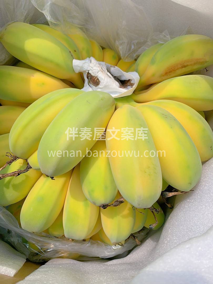 ⛳️网红苹果蕉 浓郁的香蕉味，扑鼻而来  配图3