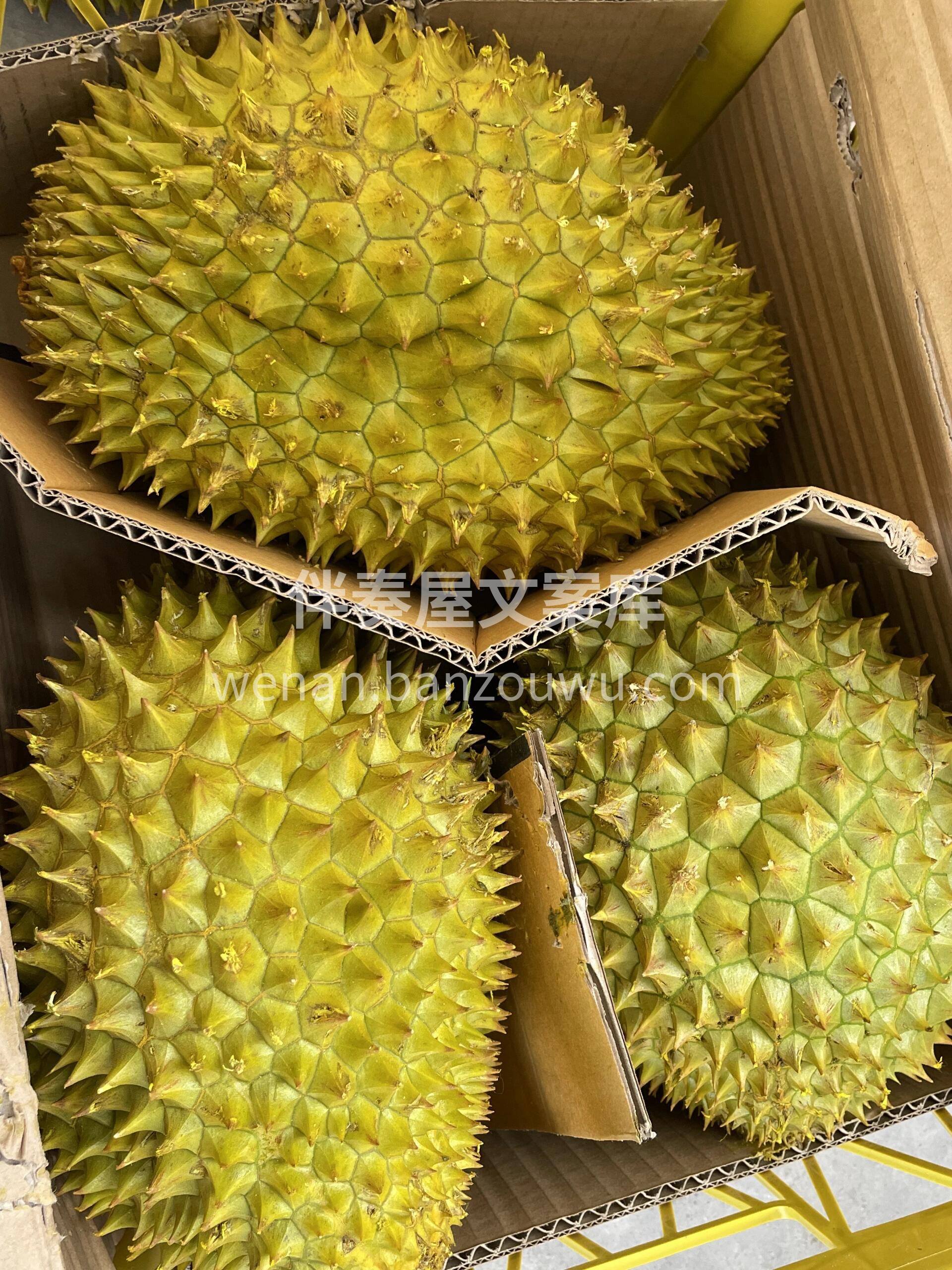☀️今日份圆鼓鼓的干尧榴莲正向您赶来～  配图3